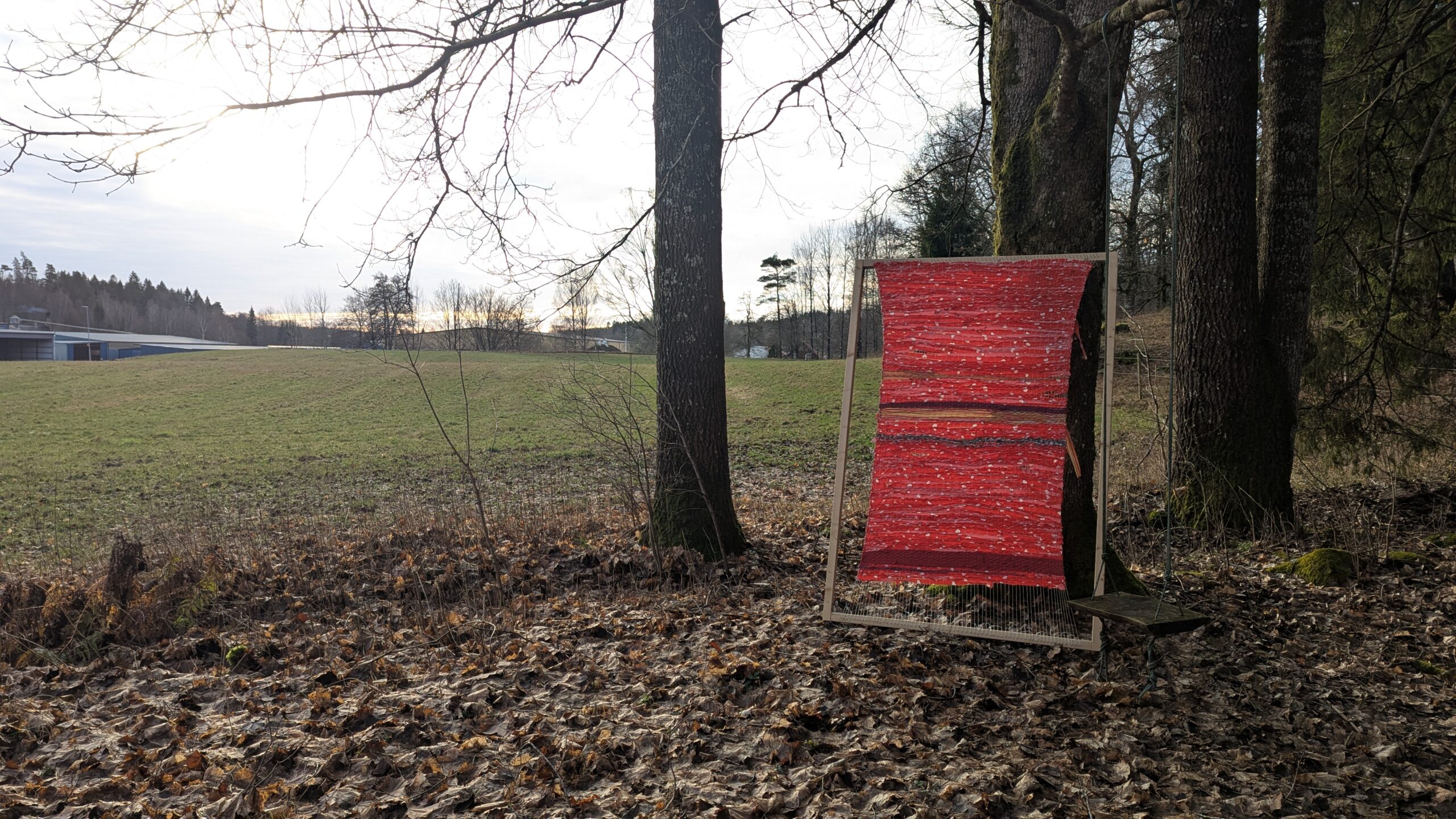 Sara L&auml;nnerstr&ouml;m